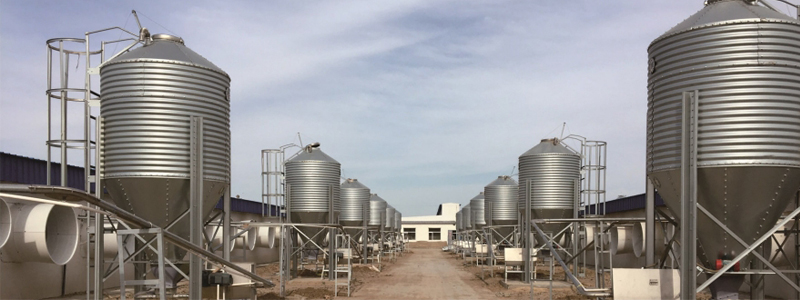 Pig Equipment FEED SILO FEEDING SYSTEM