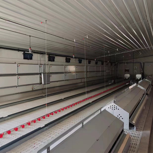 Automatic nest box system in layer farm