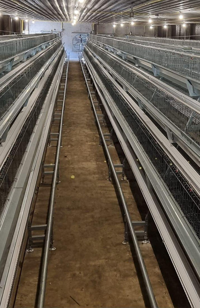 poultry farming Equipment Layer cages A-TYPE