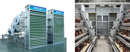 poultry farming Equipment Layer cages A-TYPE