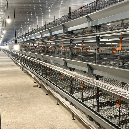 poultry farming Equipment Layer cages H-TYPE