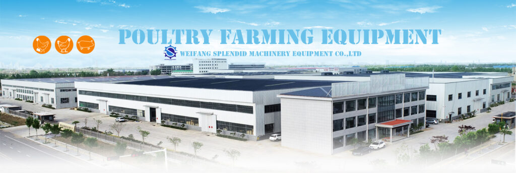 Weifang Splendid Machinery Equipment Co.,Ltd poultry farming Equipment chicken equipment pig equipment company