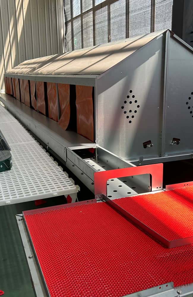 Automatic roll-out nest box system for layer hens with egg collection belt in modern poultry houses