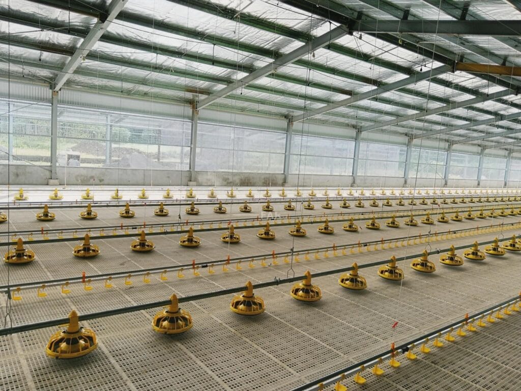 Broiler floor raising pan feeding and nipple drinking system