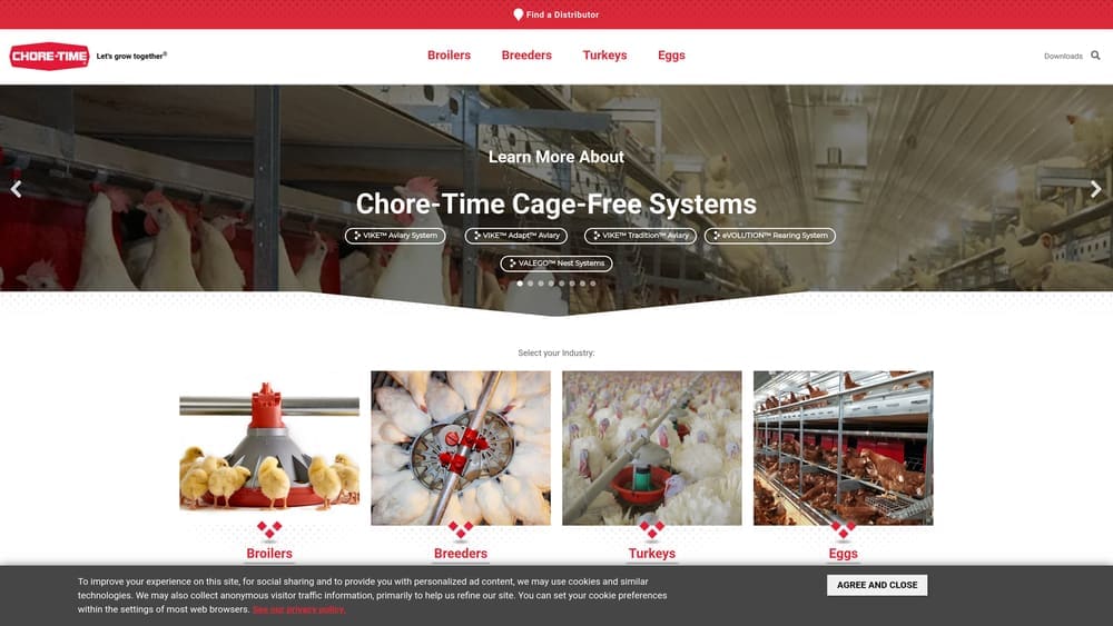 Screenshot of Chore-Time website