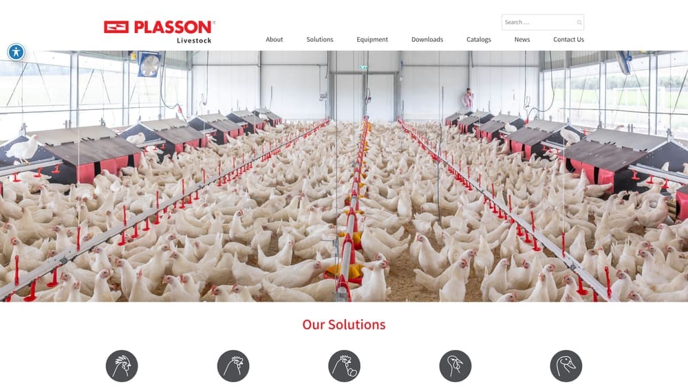 Screenshot of Plasson website