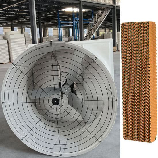 Weifang Splendid poultry house ventilation system with exhaust fans and evaporative cooling pads for broiler, layer and breeder farms in hot climates