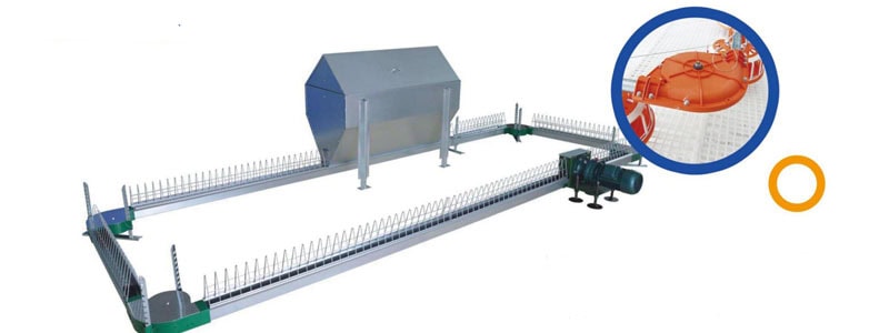 2026 Chain Feeding Line with breeder ground system
