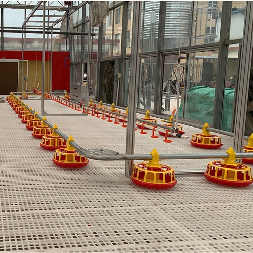 2026 Nest Box with Chain Feeding Line Integration