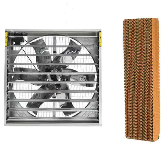 Weifang Splendid poultry house ventilation system with exhaust fans and evaporative cooling pads for broiler, layer and breeder farms in hot climates
