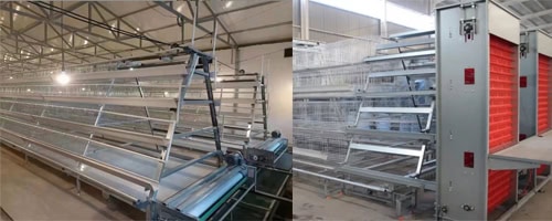 2026 A-Type Battery Cages for Layer Hens installed in commercial egg farm