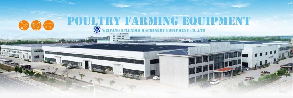 Weifang Splendid poultry farming equipment factory in Qingzhou, Shandong, China - professional manufacturer of chicken cages, floor raising systems and complete poultry farm solutions