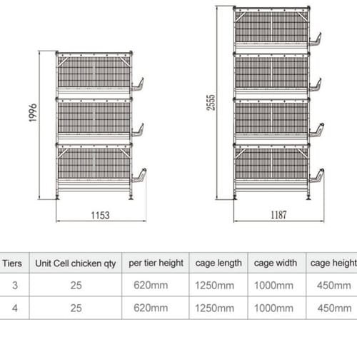 H-Type Battery Cages maximizing space in layer house