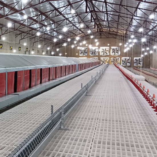 Drinking Water System for commercial layer farms 2026