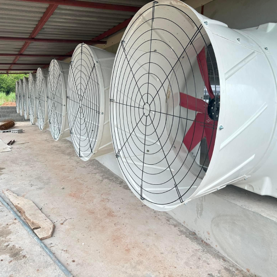 best layer house ventilation system with tunnel fans and cooling pads