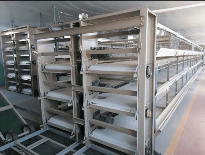 PP vs PVC manure removal belt material comparison in layer cage system