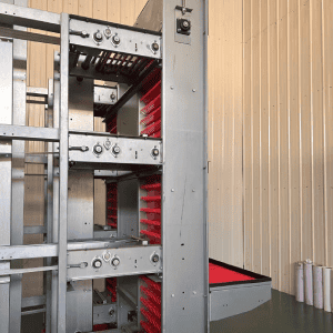 automatic egg conveyor belt in layer farm egg collection