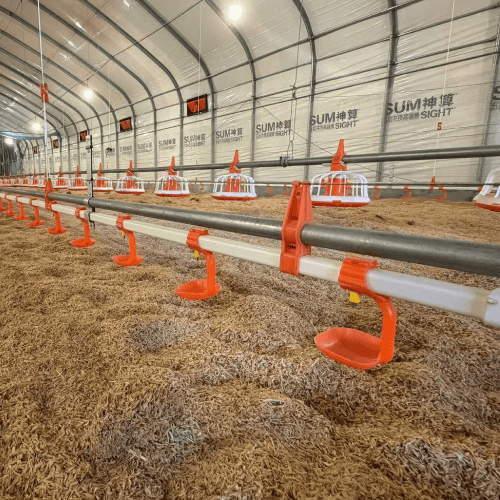 chicken drinking system nipple drinkers in poultry house