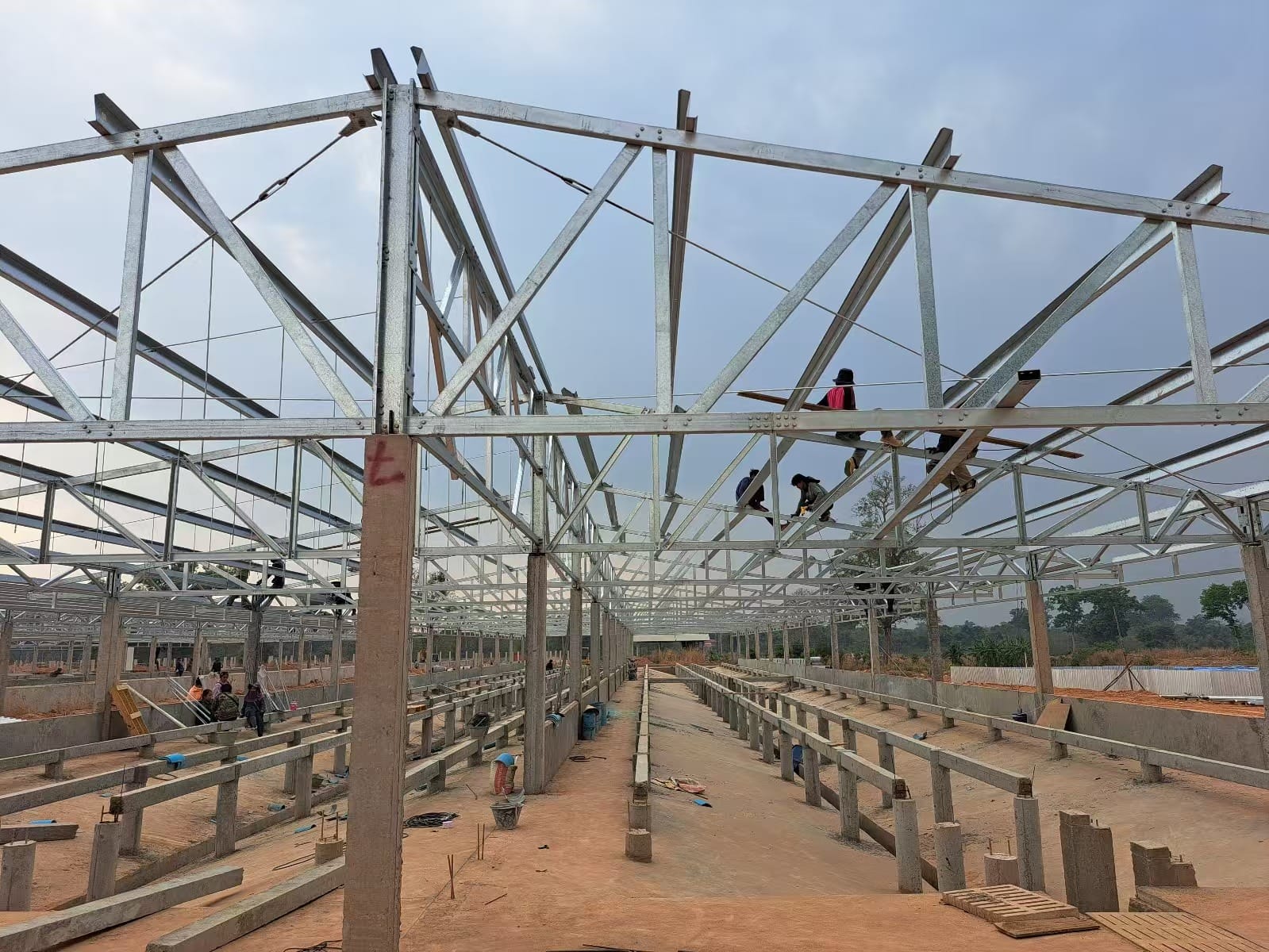 Interior steel structure layout for multi-tier automated layer cage house