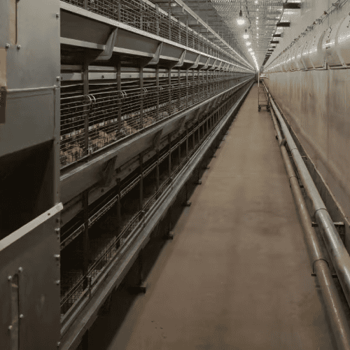 Automatic climate controller managing minimum ventilation cycles during poultry brooding
