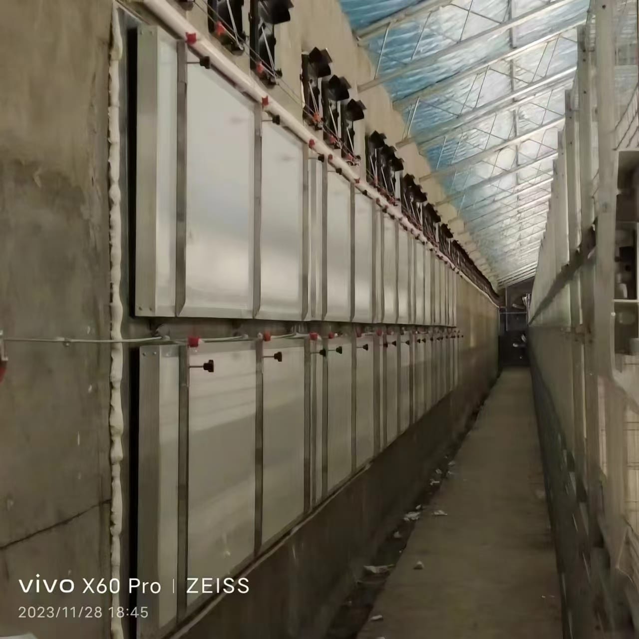 Poultry house air deflectors and baffles optimizing tunnel ventilation wind chill effect