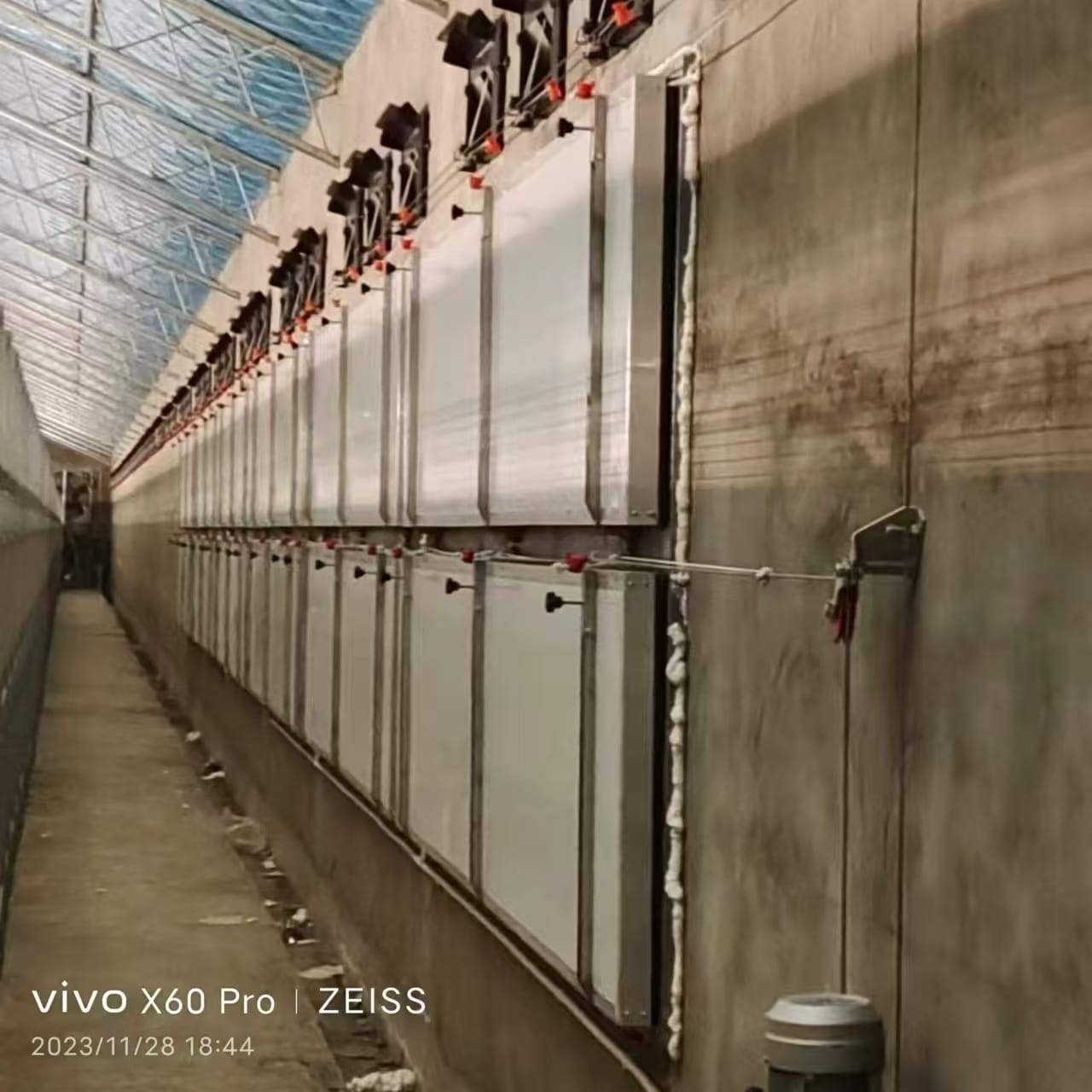 Poultry house tunnel ventilation with ceiling air deflectors and baffles optimizing wind chill effect