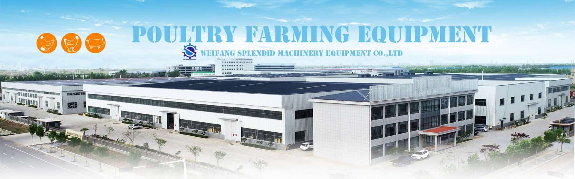 Weifang Splendid poultry farming equipment factory in Qingzhou, Shandong, China - professional manufacturer of chicken cages, floor raising systems and complete poultry farm solutions